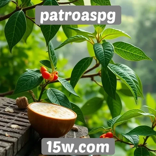 Futuro das atualizações no site patroaspg